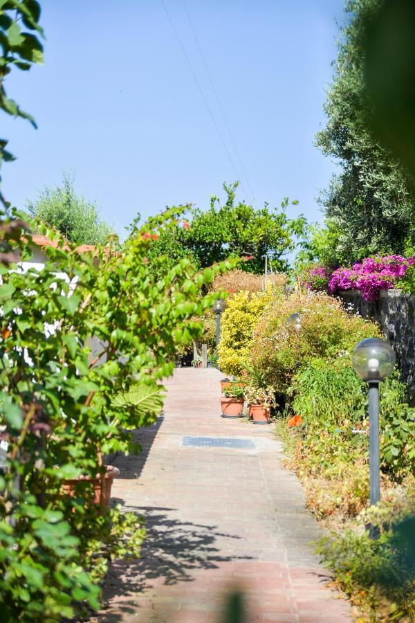 Villa Erade Casamicciola Terme Dış mekan fotoğraf