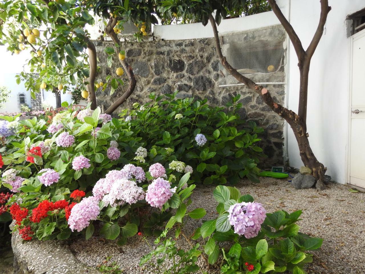 Villa Erade Casamicciola Terme Dış mekan fotoğraf